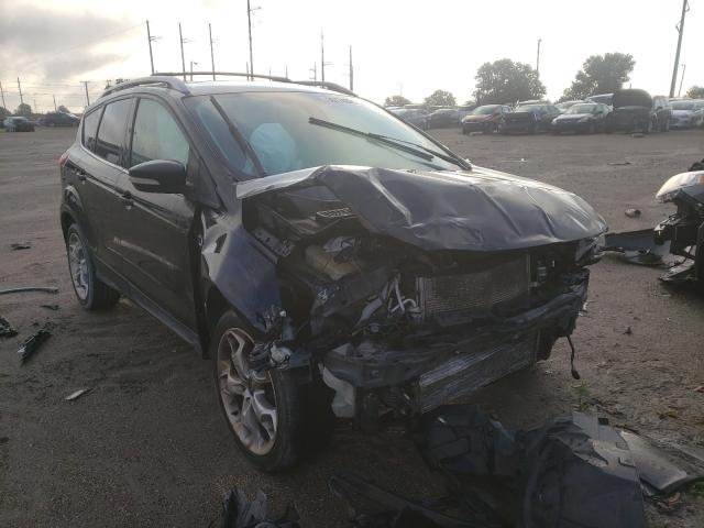 Ford Escape tit (2013)