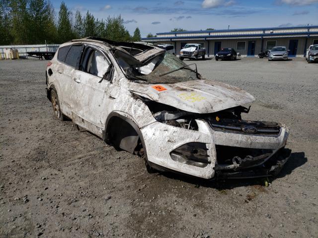 Ford Escape tit (2014)