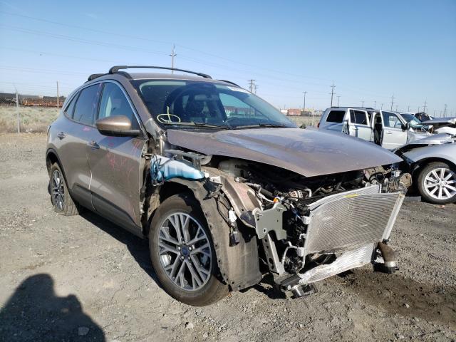 Ford Escape sel (2020)