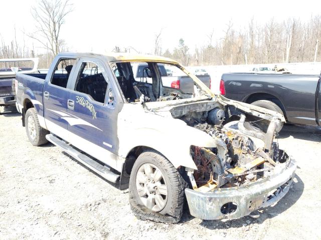 Ford F150 super (2012)