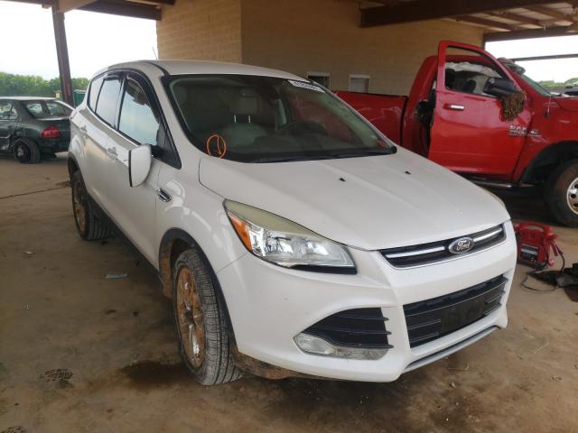 Ford Escape sel (2013)