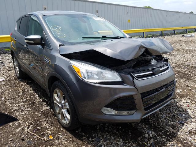 Ford Escape sel (2013)