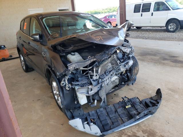 Ford Escape sel (2013)