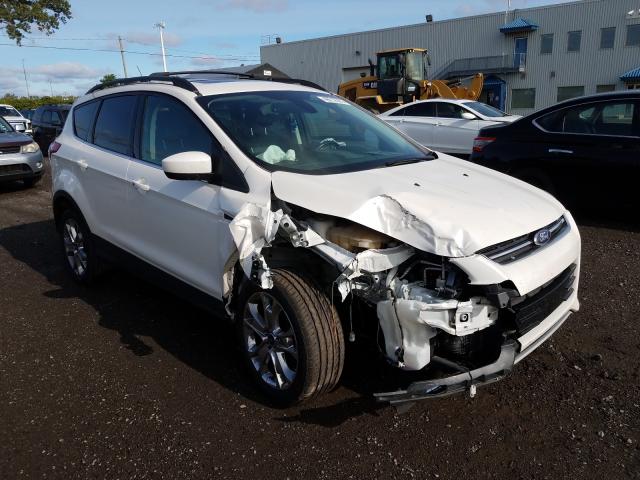 Ford Escape sel (2013)
