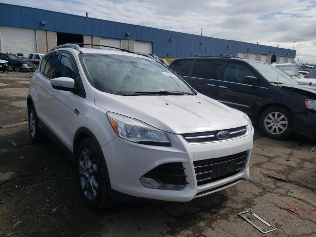Ford Escape tit (2014)