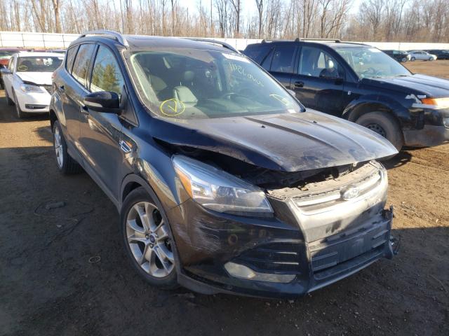 Ford Escape tit (2014)