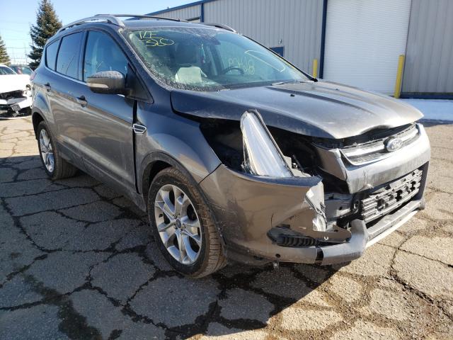 Ford Escape tit (2014)