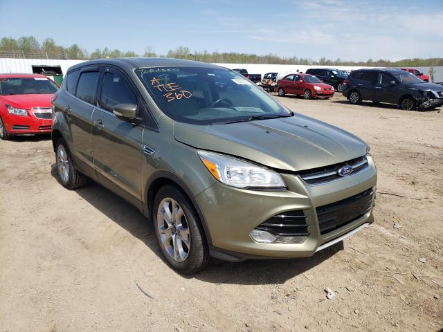 Ford Escape sel (2013)