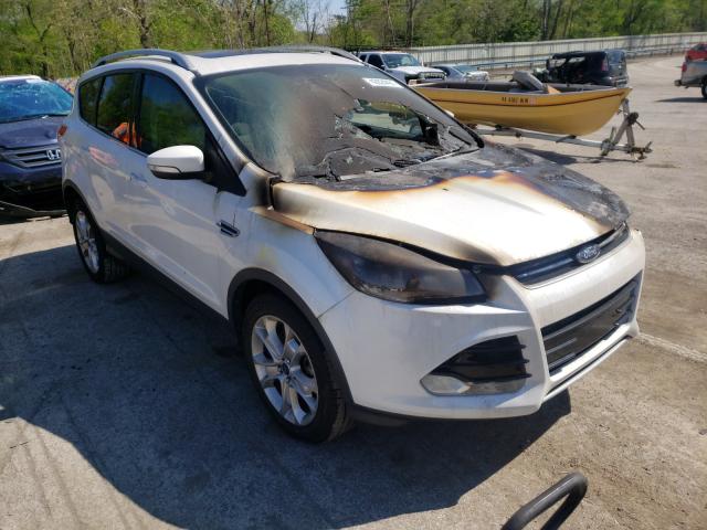 Ford Escape tit (2014)