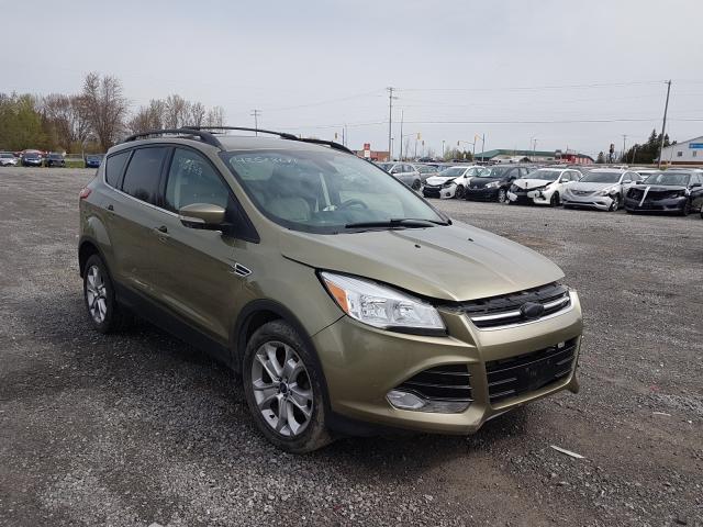 Ford Escape sel (2013)