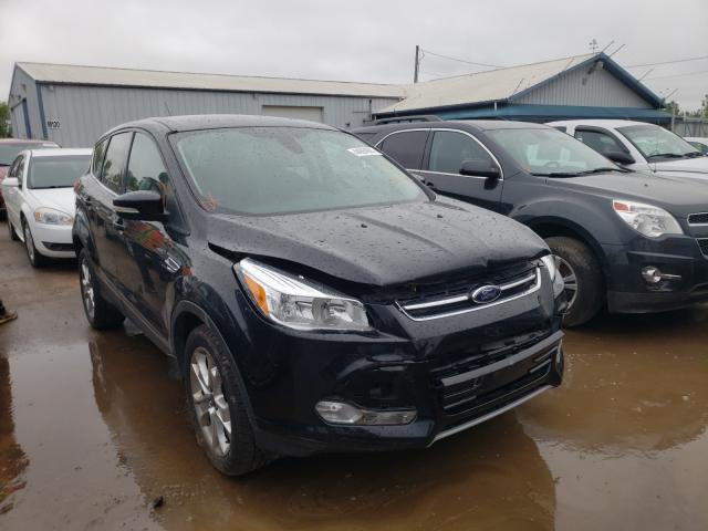 Ford Escape sel (2013)