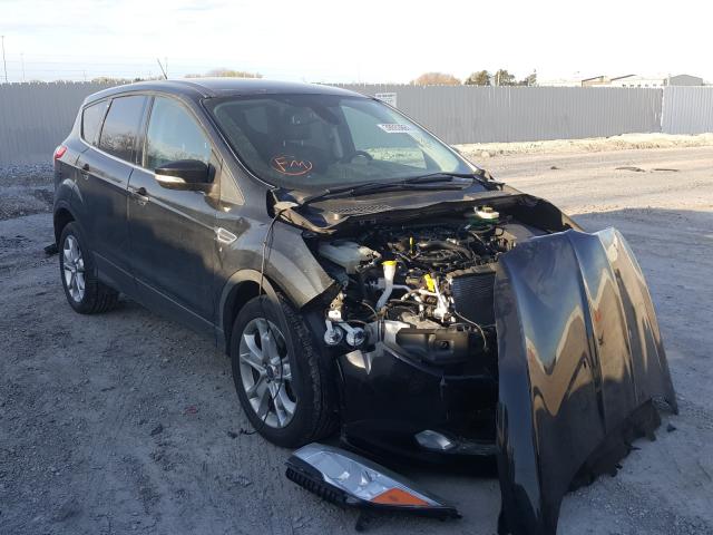 Ford Escape sel (2013)