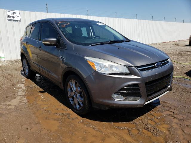 Ford Escape sel (2013)