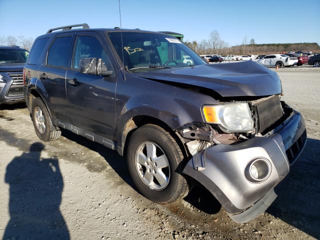 Ford Escape xlt (2011)