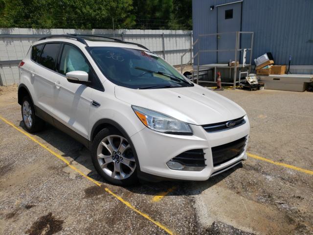 Ford Escape sel (2013)