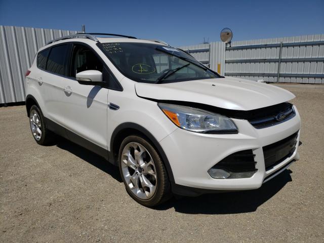 Ford Escape tit (2014)