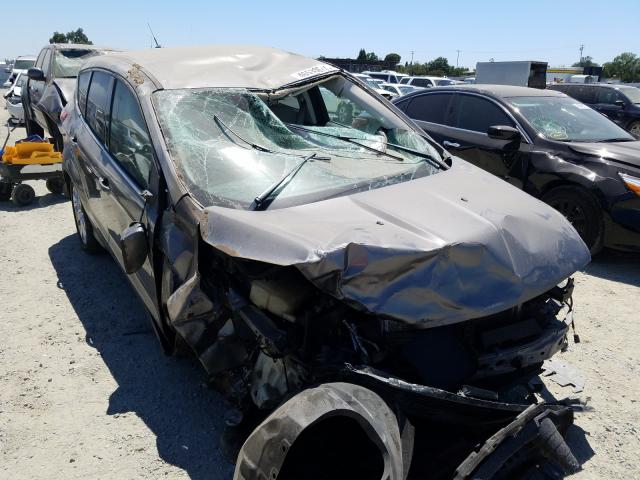 Ford Escape sel (2013)