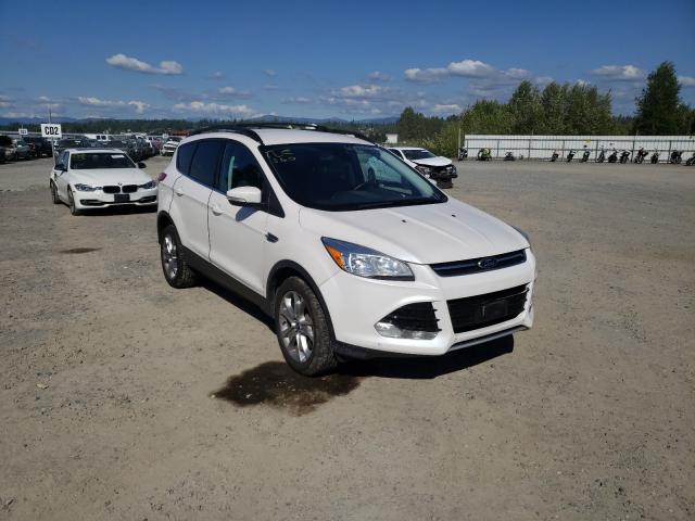 Ford Escape sel (2013)