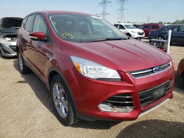 Ford Escape sel (2013)