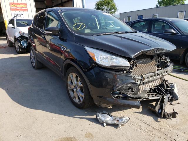 Ford Escape sel (2013)