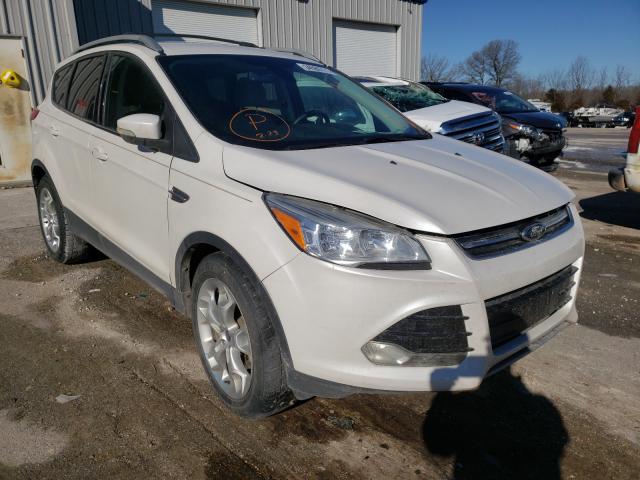 Ford Escape tit (2014)