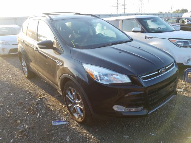 Ford Escape sel (2013)