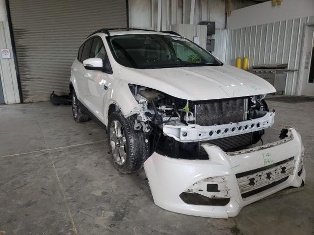Ford Escape sel (2013)