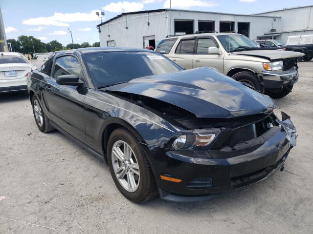 Ford All models (2012)