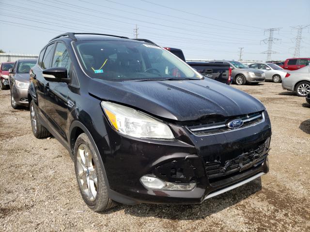 Ford Escape sel (2013)