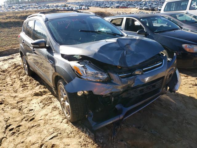 Ford Escape tit (2014)
