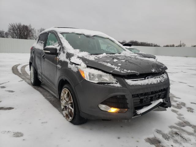 Ford Escape tit (2016)