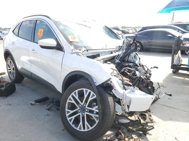 Ford Escape sel (2020)