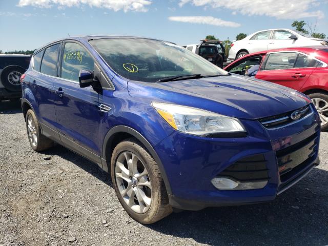 Ford Escape sel (2013)