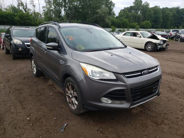 Ford Escape sel (2013)