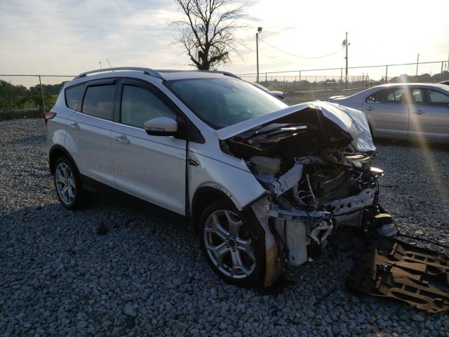 Ford Escape tit (2019)
