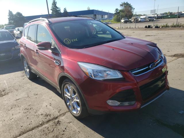 Ford Escape sel (2013)