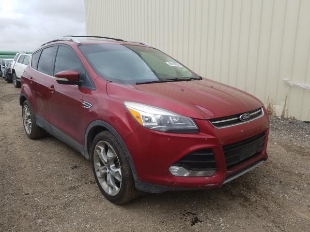 Ford Escape tit (2015)