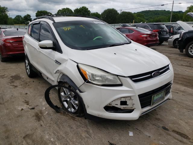 Ford Escape sel (2013)