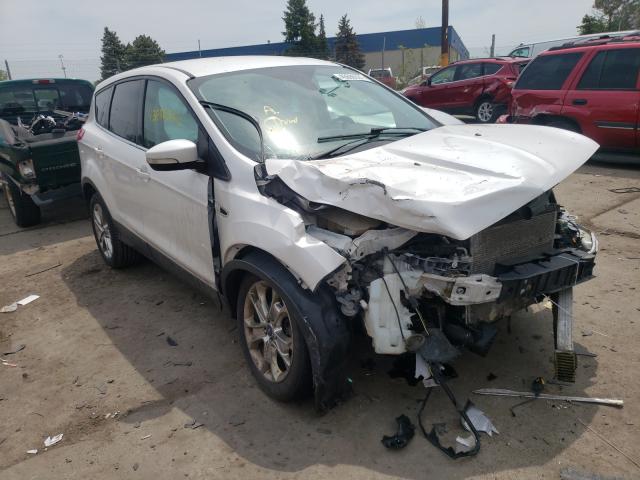 Ford Escape sel (2013)