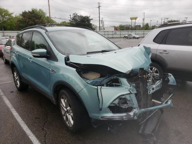 Ford Escape sel (2013)