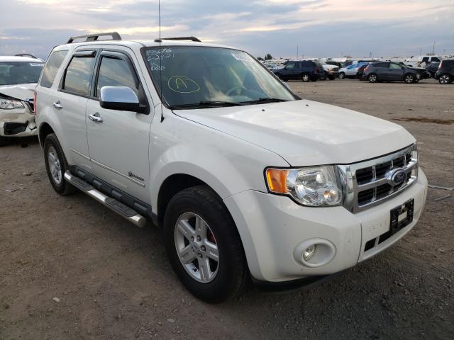 Ford Escape hyb (2010)