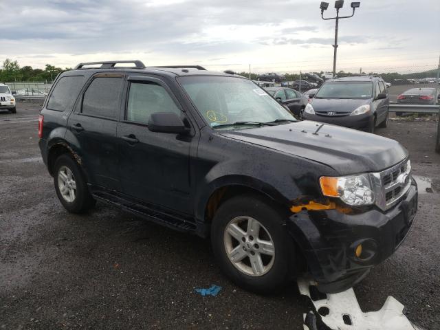 Ford Escape hyb (2010)