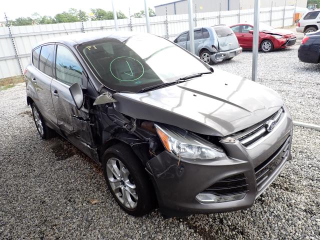 Ford Escape sel (2013)