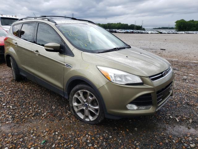 Ford Escape sel (2013)