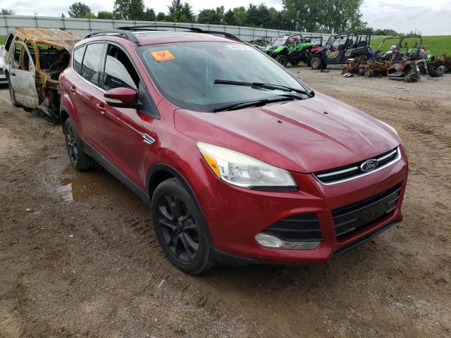 Ford Escape sel (2013)