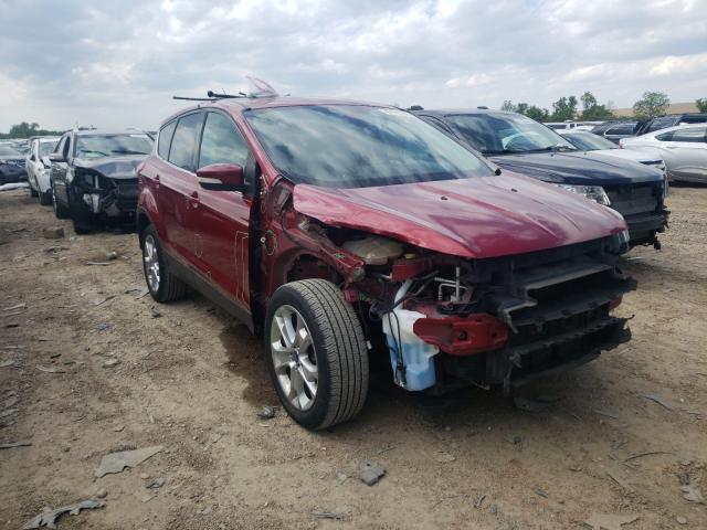 Ford Escape sel (2013)