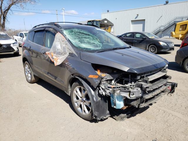 Ford Escape sel (2013)