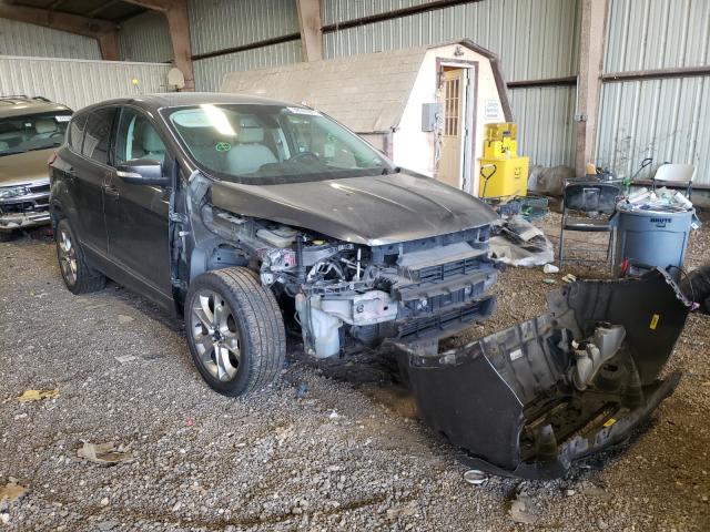 Ford Escape sel (2013)