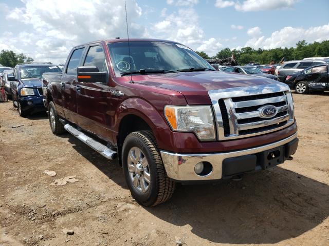 Ford F-150 (2010)