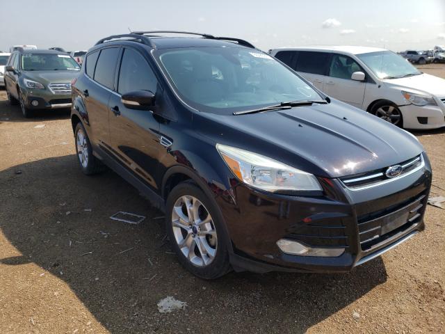 Ford Escape sel (2013)